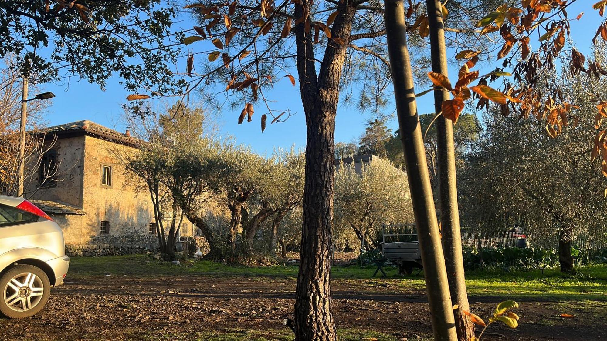 Villa Poggio Roseto Randazzo Exterior foto