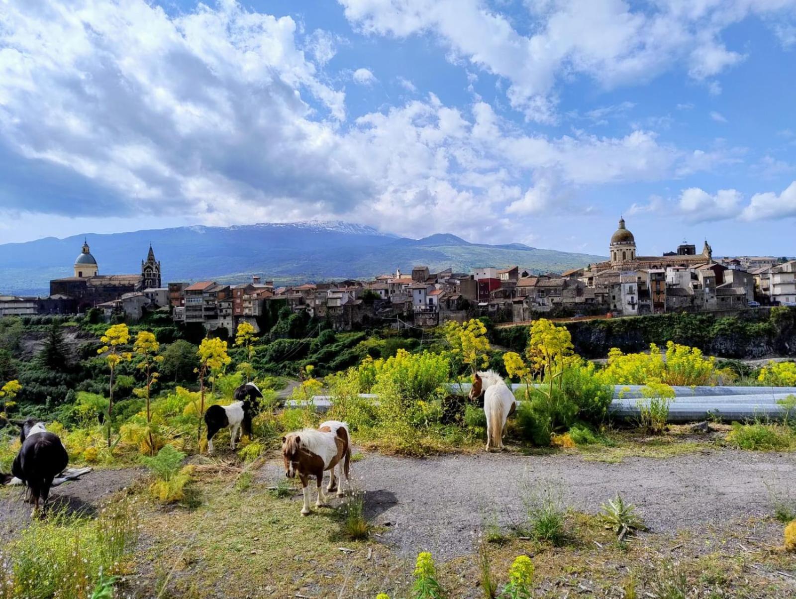 Villa Poggio Roseto Randazzo Exterior foto